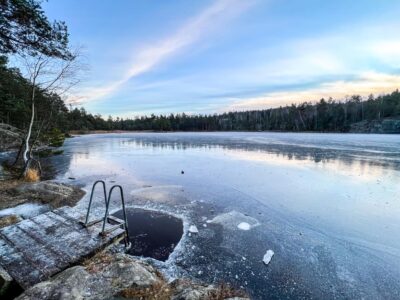 Bastun vid Sandasjön i Nacka