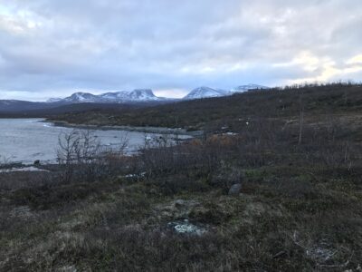 Vedbastun vid Torneträsk